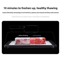 Planche de décongélation rapide KAYUSO en plastique pour la maison, à conduction thermique, pour steak, alimentation rapide intelligente à température constante