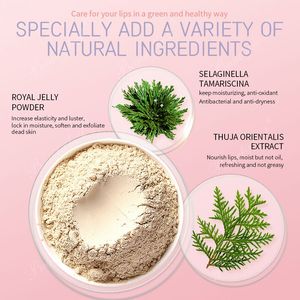 Gommage exfoliant pour les lèvres, vente en gros d'usine, masque réparateur pour les lèvres naturel et biologique, coffret de soins pour les lèvres en 5 pièces, série de voyage - Product Image 5
