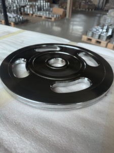 <span class=keywords><strong>Techfit</strong></span> Plaque en acier doré chromé Équipement de fitness pour la salle de sport à domicile Plaques d'haltères - Product Image 5