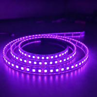 Bande lumineuse LED SMD à pixels super lumineux OEM 12V 84LED UCS2903 RGB pour éclairage de façade de bâtiment, décorations de jardins et bâtiments