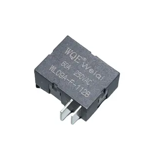 60A pcb relay China manufacturer magnetic holding WL09A 9V 12V 24V 48V latching Relays for meters and industrial control