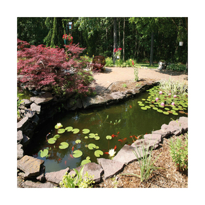 60mil Koi Pond Bridge Fuente al aire libre Keramik EPDM Goma Plástico Kio Estanques de peces para piscicultura - Product Image 5