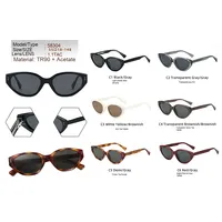 ZS58304 nouveau européen américain à la mode oeil de chat Logo personnalisé lunettes de soleil TR90 acétate Temples coréen Anti-UV femmes lunettes de soleil