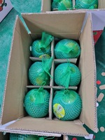 Premium verse Vietnamese groene pomelo |   Zoete, sappige grapefruit met roze vruchtvlees |   Laag zaadgehalte, 60-90 dagen houdbaarheid voor