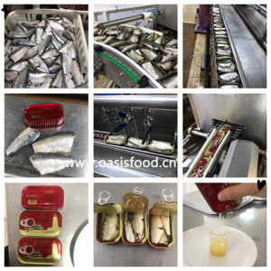 Sardines <span class=keywords><strong>en</strong></span> conserve BRC HACCP Halal dans de l'huile végétale 125g <span class=keywords><strong>en</strong></span> boîte, fabrication OEM, marque privée, approvisionnement <span class=keywords><strong>en</strong></span> gros - Product Image 5