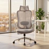 Chaise de bureau ergonomique confortable pour ordinateur et jeux, vente directe d'usine professionnelle chinoise