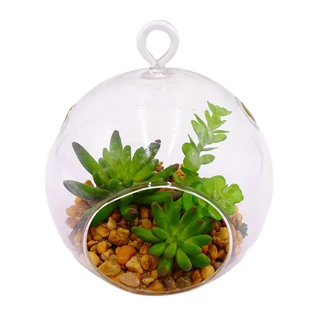 多肉植物各種多肉植物はガラスで自然に生きるプランターポットオフィス装飾人工植物