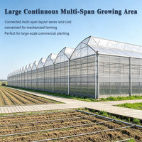 Serres agricoles multi-chapelles à ossature en acier, à structure robuste et très résistante, pour une utilisation optimisée.