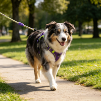 Laisse télescopique pour chien, réglable, en nylon, anti-traction, pour la promenade et l'entraînement des chiens en extérieur