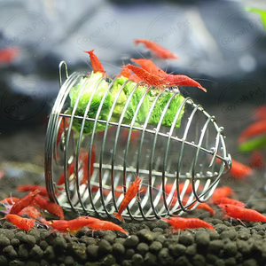 Trappola per esche da pesca alla carpa, cestello per esche, attrezzatura e accessori per la pesca - Product Image 5