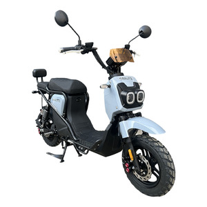 Motocyclettes électriques à deux roues de 1000 W haute puissance avec phares LED, vitesse maximale de 40 à 60 km/h, cadre en fer, batterie amovible, utilisation en ville - Product Image 6