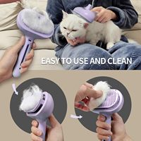 Brosse à vapeur Petop pour chat, rechargeable, avec pulvérisation, pour chiens à poils courts et longs, antistatique, outil de démêlage