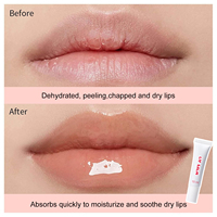 Peptide Hydratant Brillant À Lèvres Miroir Réfléchissant Finition Gamme De Couleurs Vibrantes Formule Riche En Humidité Tube Blanc Personnalisable Cosmétique