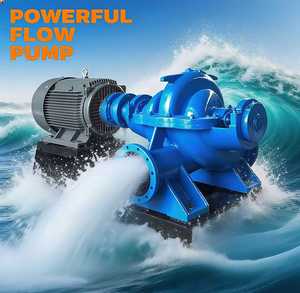 Pompes à double aspiration : débit élevé, stables et durables pour les systèmes d'eau industriels - Product Image 5