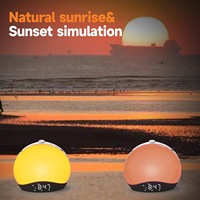 Lampe de chevet avec simulation d'aube, radio FM et double horloge, design nordique moderne, alimentée par USB
