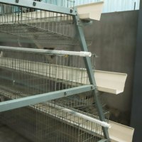 Élevage de volailles 1000 Dimension de poulet Couche de maille en acier automatique Cage de poulet Conception de système de ferme Élevage de batterie