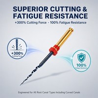 Limes rotatives endodontiques NiTi activées par la chaleur pour canaux radiculaires dentaires SX-F3 Or Bleu 6 pièces/kit Fournisseur Grand Lot