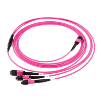 Conectores de Cable Troncal MPO/MTP a SC APC Monomodo de 12 Fibras 10G-100G OM4POE IP TCP para Centros de Datos y Redes 5G SM/MM