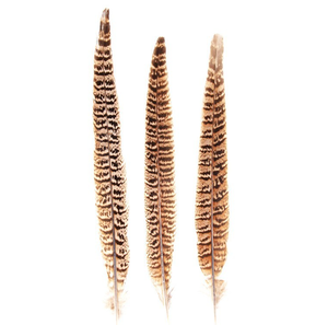 Nhà Máy Bán Hàng Trực Tiếp Mẹ Gà lôi Đuôi 15-20Cm Hoang Dã Gà Lông Chim Hoang Dã Lông Sân Khấu Hiệu Suất Lông - Product Image 1