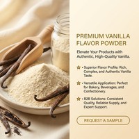 Poudre aromatisante à la vanille, additif alimentaire, agent aromatisant pour boulangerie, crème glacée, boissons, PureHarvest, qualité alimentaire, 25 kg
