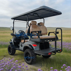 Carrito de Golf Eléctrico Profesional de Cuatro Plazas, Color Gris, Convertible, Ideal para Golf y Ocio - Product Image 1