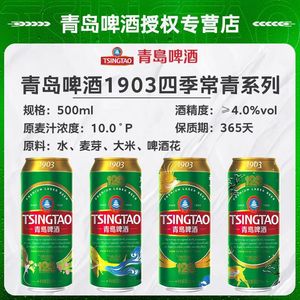Cerveza Oscura Pasteurizada Tsingtao (1903) de Qingdao, 500ml*18 Latas, Original de Fábrica, Auténtica - Product Image 6