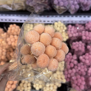 Fleurs naturelles très demandées : Craspedia Billy Button (Boule dorée) stabilisée pour arrangements floraux de mariage - Product Image 3