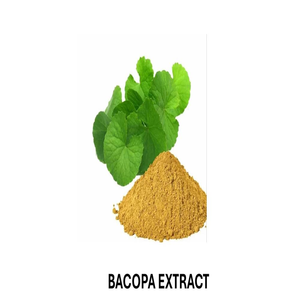 Extracto Seco de Bacopa 20% 50% HPLC USP en Polvo, Extracto Natural Botánico Herbal, Cultivo Silvestre, Suplemento de Grado Alimenticio - Product Image 3