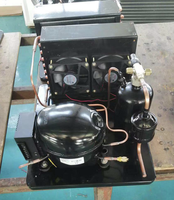 Unités de condensation à bas prix avec compresseur de réfrigérateur 12V/24V CC