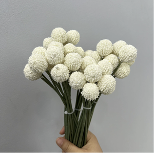 Ramo de Craspedia Artificial de Seda para Decoración del Hogar, Arreglos Florales para el Día de San Valentín y Graduación - <span class=keywords><strong>Billy</strong></span> Balls Amarillo Dorado - Product Image 3