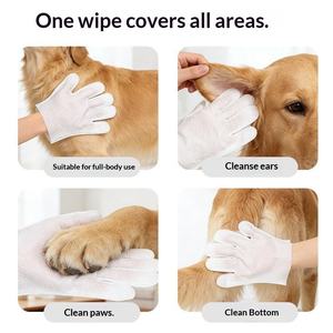 Lenços Umedecidos para Animais de Estimação, Ecológicos e Biodegradáveis, Luvas de Limpeza para Cães, Venda Quente de Fábrica - Product Image 5