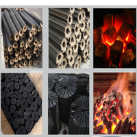 Machine de fabrication de tiges de charbon de bois briquettes de biomasse