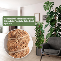 Support en fibre de coco minimaliste et écologique pour plantes d'intérieur, idéal pour la maison et le bureau