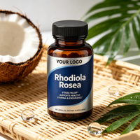 Capsules d'extrait de Rhodiola Rosea en marque blanche, supplément à base de plantes en gros pour le soutien énergétique et la réduction du stress, 60 gélules, fabrication OEM