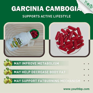 खाद्य पूरक गार्सिनिया कैंबबोगिया कैप्सूल <span class=keywords><strong>60</strong></span>% हैका वसा संश्लेषण स्नैक के लिए स्तन के वसा संश्लेषण निषेध - Product Image 3
