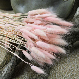 Accessoire de <span class=keywords><strong>fleuriste</strong></span> en gros vraies fleurs conservées séchées Lagurus éternel éternel lapin queue herbe pour décorations - Product Image 5