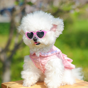 Gafas de sol para mascotas, un accesorio imprescindible para perros pequeños en verano, gafas de sol para mascotas con forma de corazón, gafas de sol pequeñas, lindas y elegantes. - Product Image 1