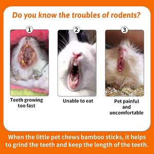 Doğal Seagrass tatlı bambu Molar dişler için Sticks <span class=keywords><strong>Bunny</strong></span> çiğnemek oyuncaklar için kafes aksesuarları tavşan <span class=keywords><strong>Bunny</strong></span> gine domuz Hamster - Product Image 5