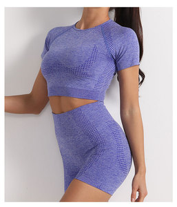 Conjuntos de ropa deportiva de 2 piezas para mujer, traje de Yoga sin costuras personalizado, ropa de entrenamiento, ropa deportiva, conjunto de Fitness para gimnasio femenino - Product Image 6