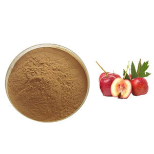 निर्माता उच्च गुणवत्ता वाले हॉथर्न बेरी अर्क पाउडर 80% फेवनोइड्स 10:1 20:1 हॉथर्न फलों के अर्क की आपूर्ति करते हैं। - Product Image 3