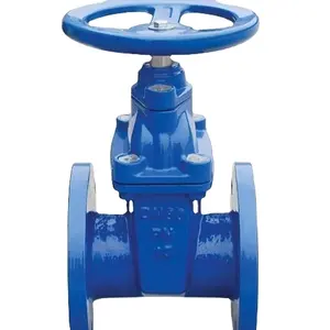 BS5163 Gate Valve PN16 PN25 Veerkrachtig Zittende