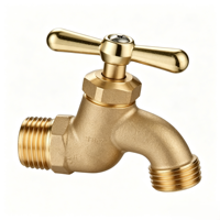 Adaptateur de raccordement d'eau en laiton OEM pour robinet de cuisine, raccord de tuyau d'arrosage de jardin, vanne de remplacement pour raccord de robinet d'irrigation