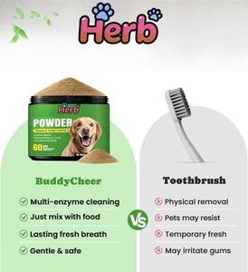 Poudre probiotique pour animaux de compagnie ODM/OEM, complément alimentaire pour la santé digestive des chiens et des chats, soutien intestinal - Product Image 3