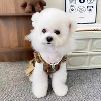Nouvelles tenues décontractées pour animaux de compagnie style universitaire, tenues de couple, robe légère d'été à carreaux pour chaton et chien