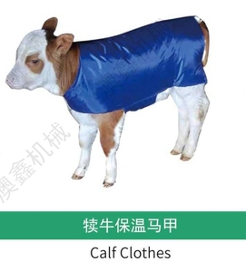 Coperta per Vitelli Impermeabile e Antivento, Abbigliamento Caldo e Spesso per Allevamento di Bovini 0-3 Mesi - Product Image 6
