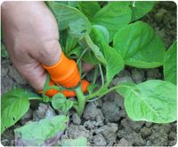 Duimmes Voor Tuinmes Tuinplanten Pluktrimgereedschap Siliconen Oogsten Duimvingermes Snijder Set