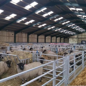 Tùy chỉnh phong cách xây dựng trước nhà cừu kết cấu thép cừu đổ không gian khung thép cấu trúc - Product Image 1