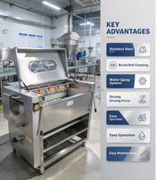 Fruit- en groenteborstelwasapparatuur, cassave reinigingsmachine, gemberwasser, industriële aardappelschilmachine