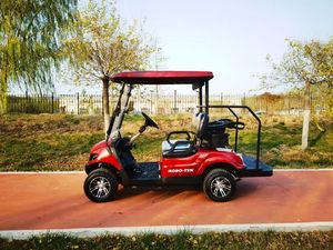 Carrito de Golf Eléctrico BD-DL Deluxe Personalizado de 2 Plazas con Batería, Carrito de Golf con Caja Refrigeradora, Portaequipajes, Certificación CE, GCC, EEC - Product Image 3