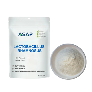 Probiotiques Lactobacillus Rhamnosus Poudre Complément alimentaire santé Lactobacillus Rhamnosus - Product Image 2